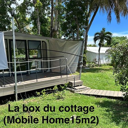 Le Cottage De Castaing Sur Plage Privee Sainte-Anne  Buitenkant foto