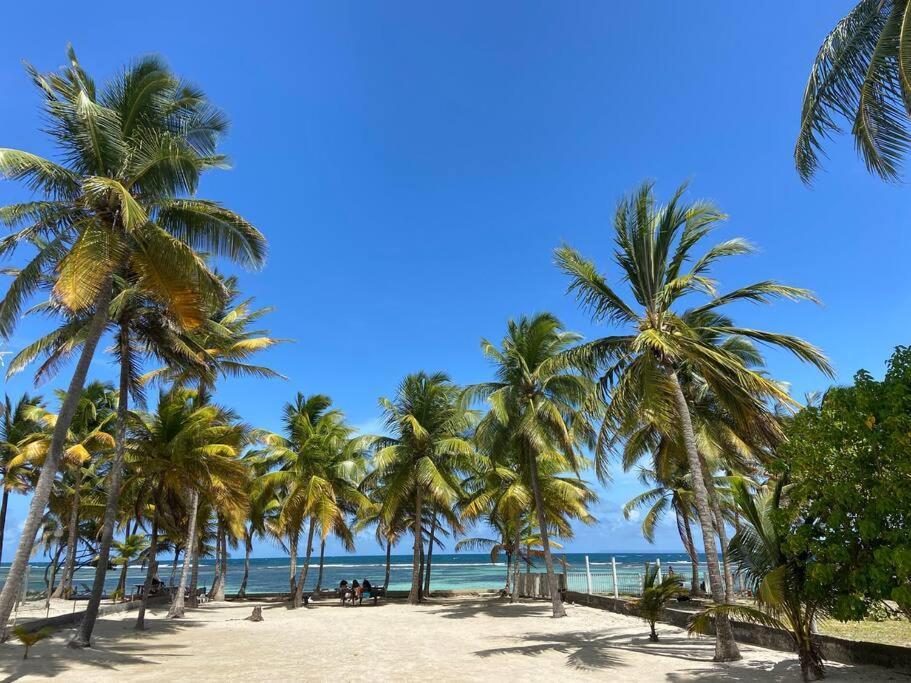 Le Cottage De Castaing Sur Plage Privee Sainte-Anne  Buitenkant foto