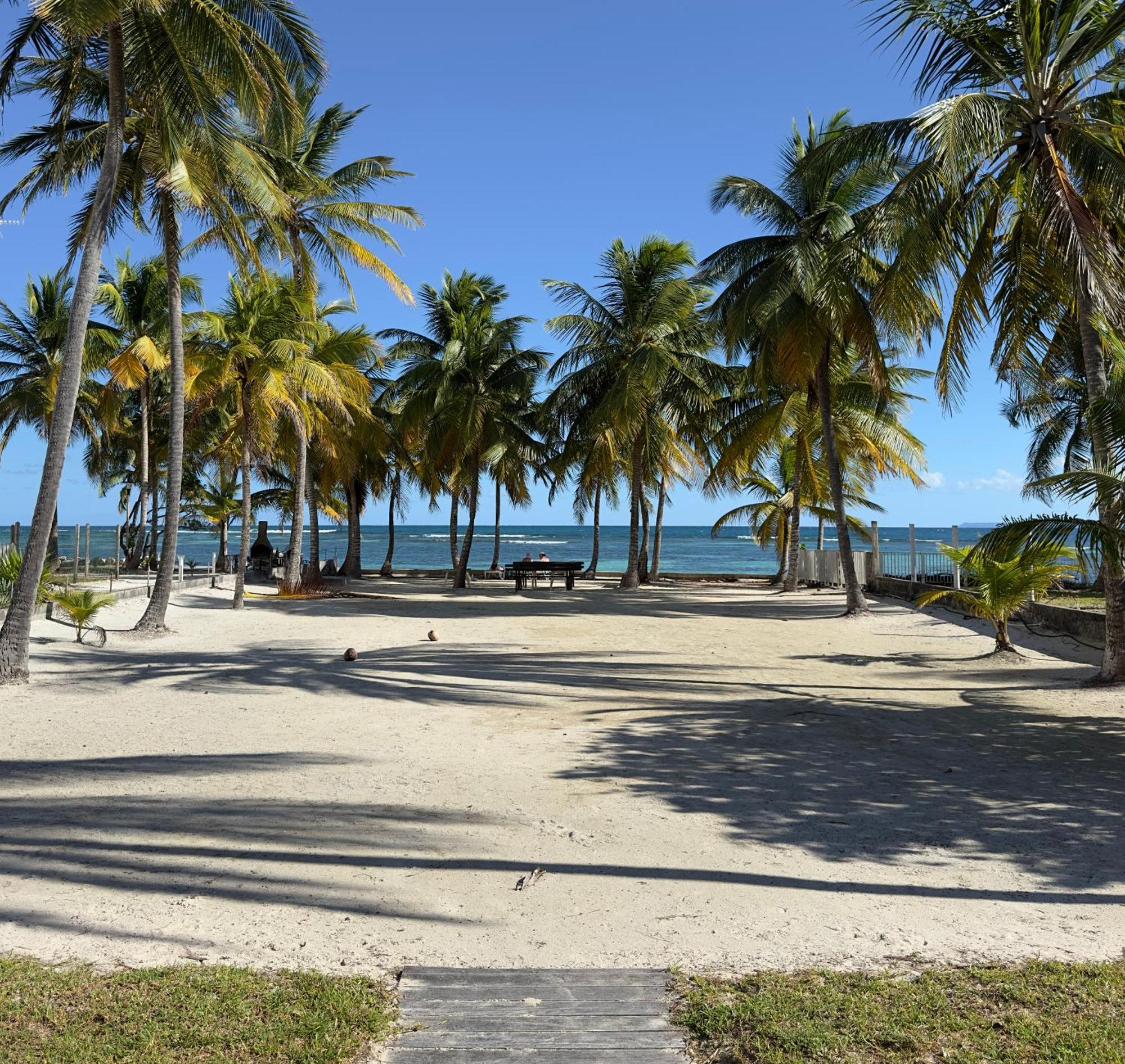Le Cottage De Castaing Sur Plage Privee Sainte-Anne  Buitenkant foto