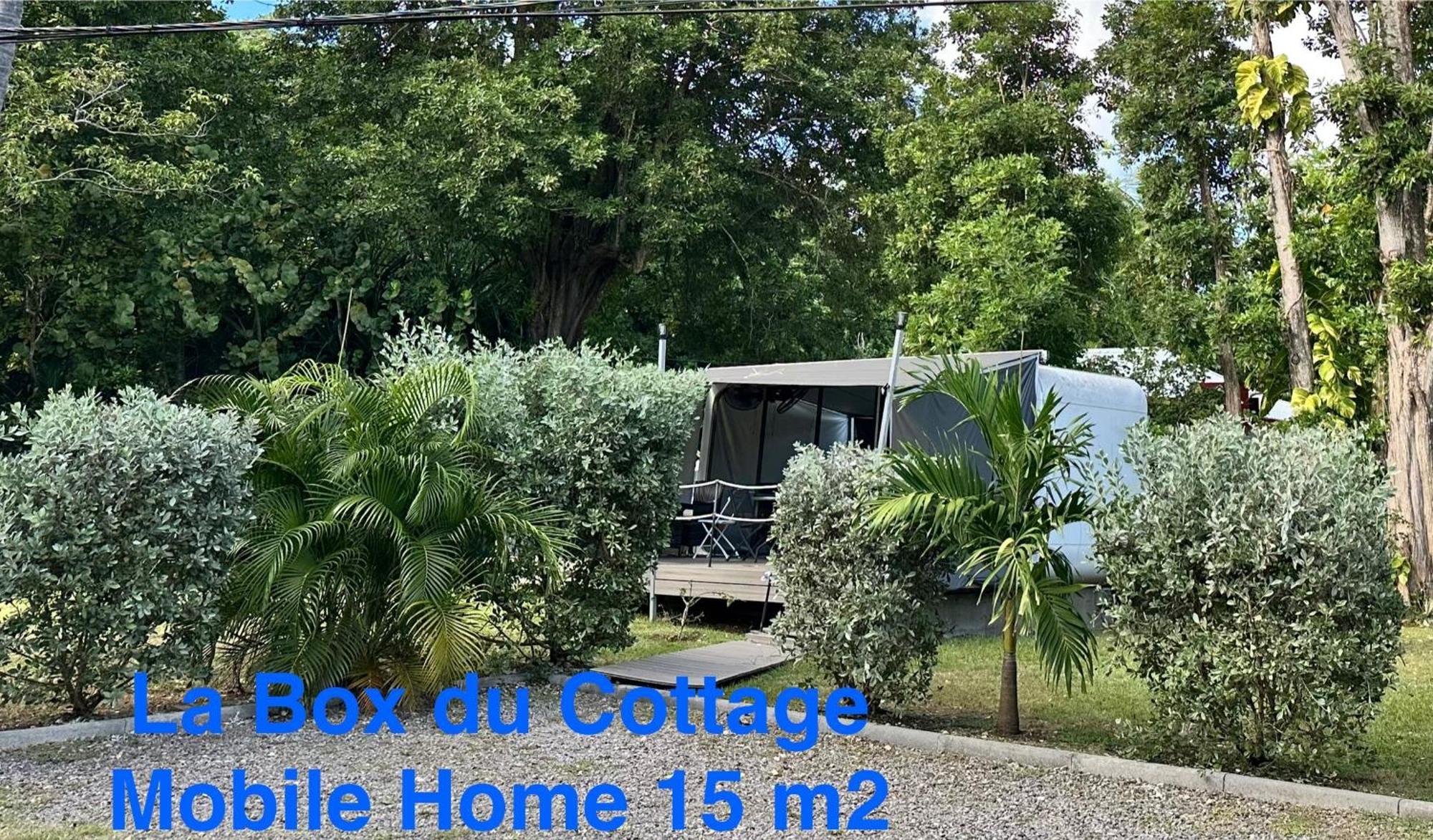 Le Cottage De Castaing Sur Plage Privee Sainte-Anne  Buitenkant foto